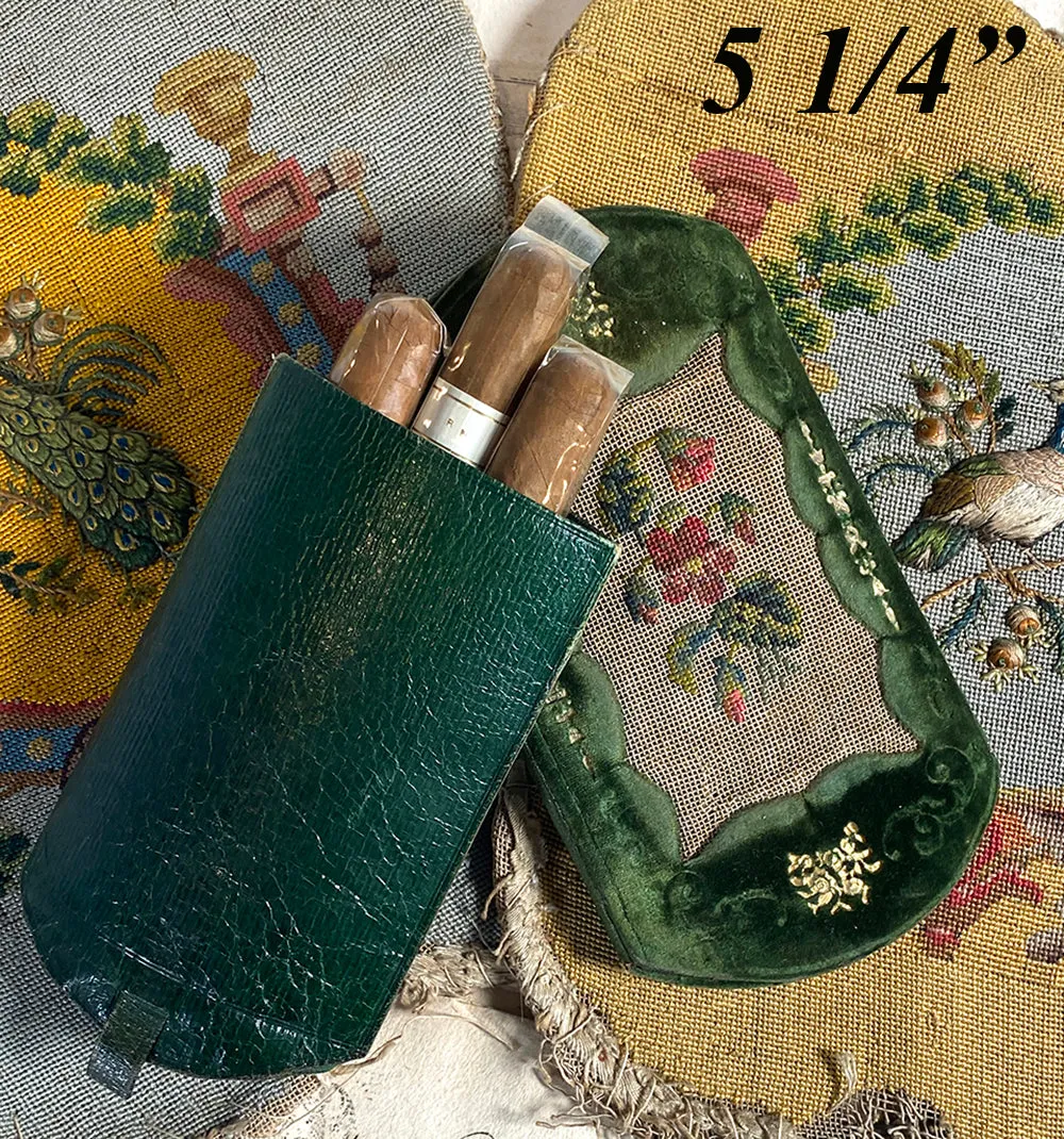 Antique French Silk Embroidery on Silk Velvet & Leather Cigar or Spectacles Case, Etui