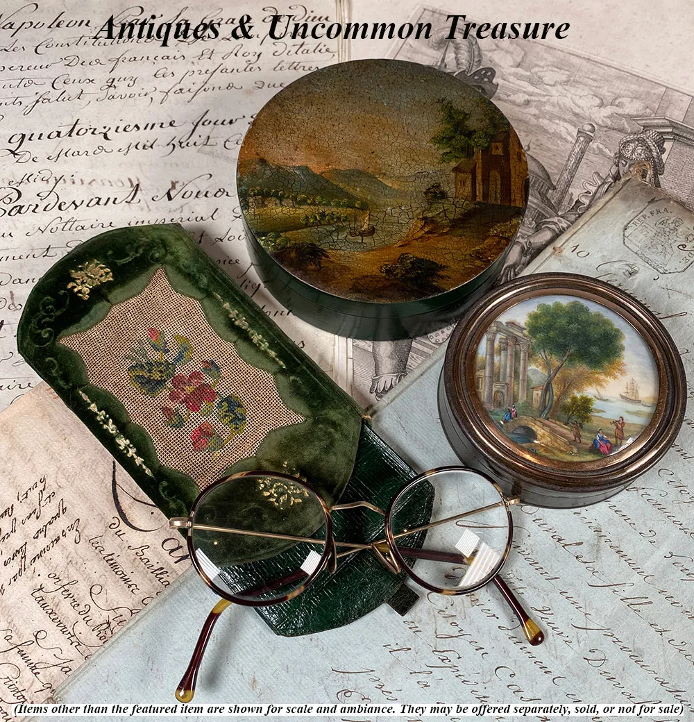 Antique French Silk Embroidery on Silk Velvet & Leather Cigar or Spectacles Case, Etui