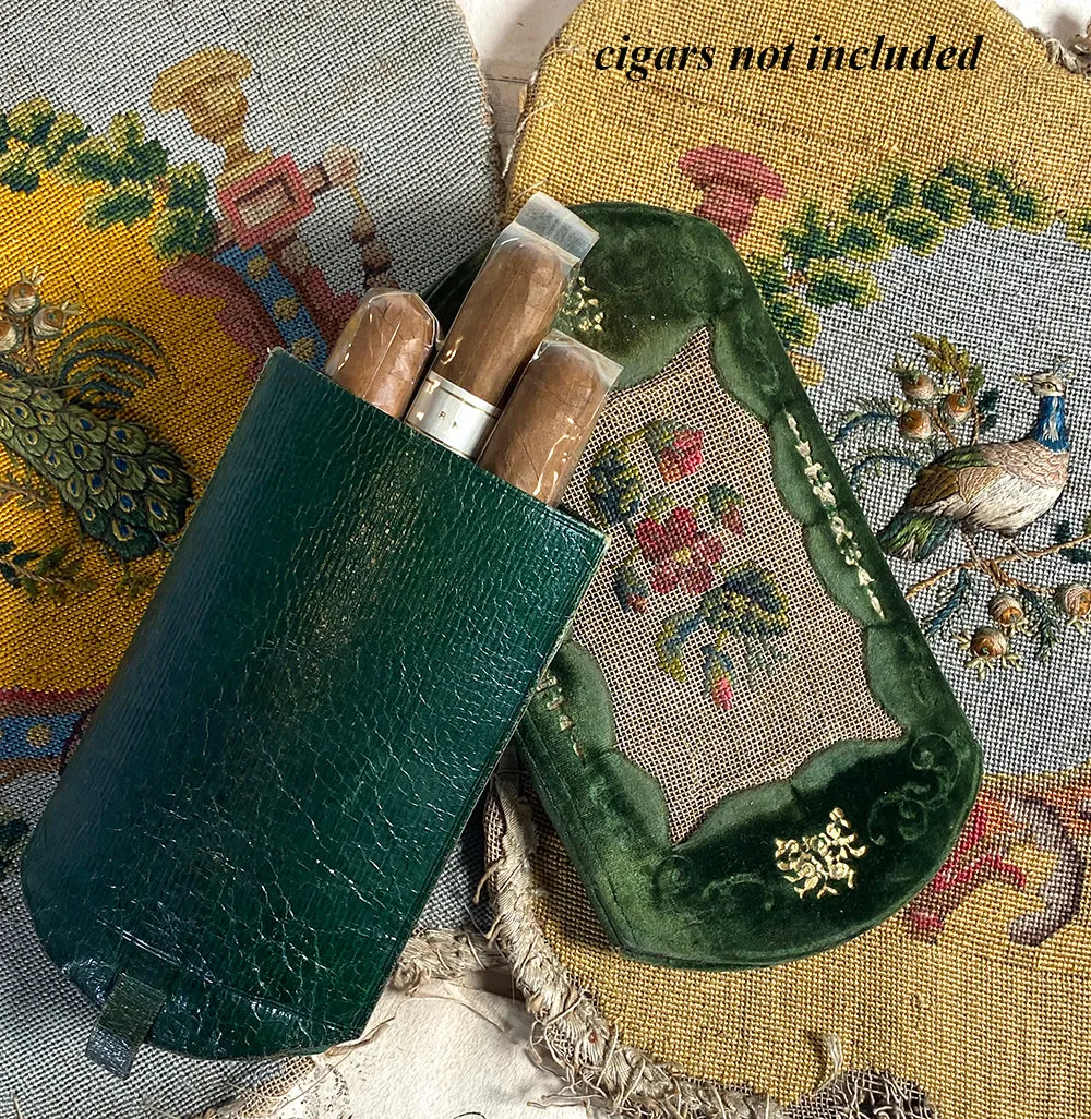 Antique French Silk Embroidery on Silk Velvet & Leather Cigar or Spectacles Case, Etui