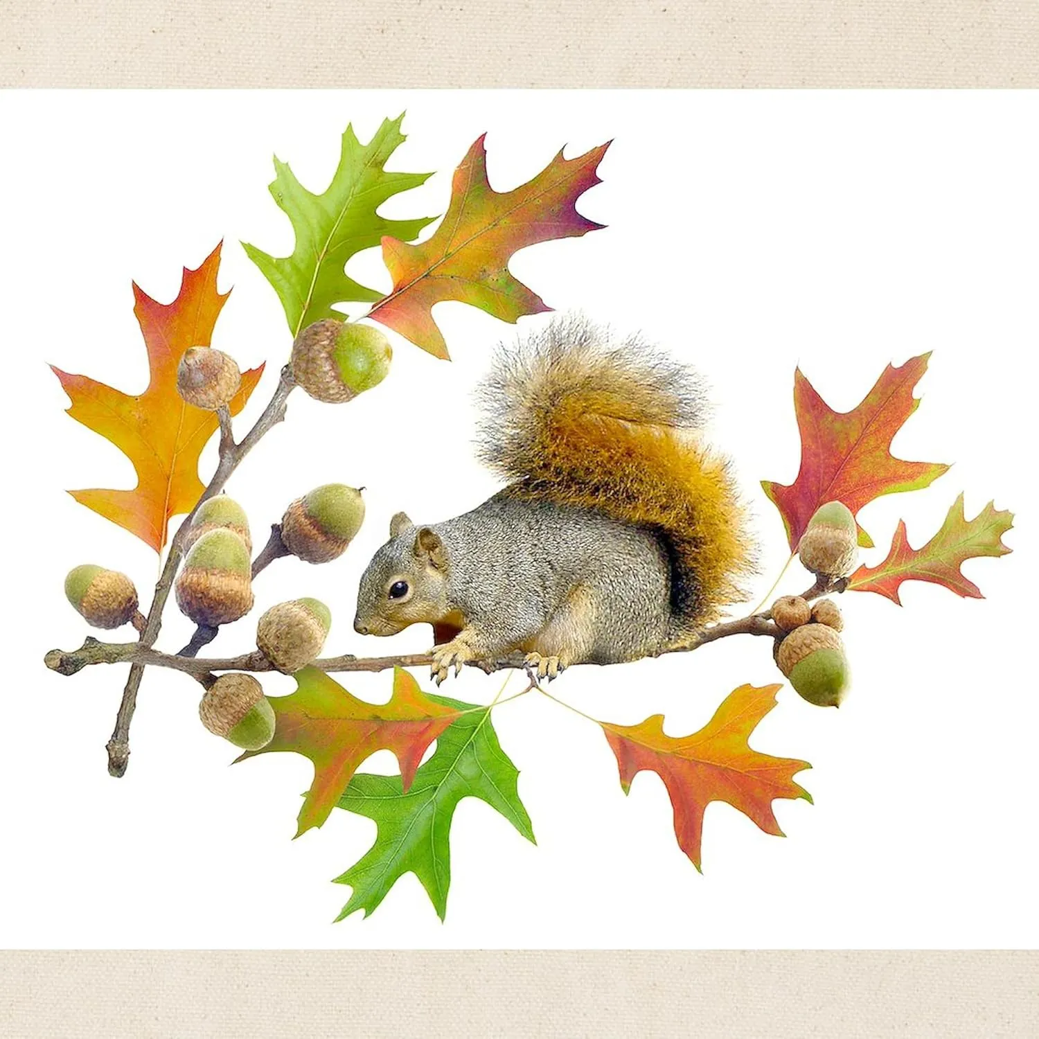 CafePress Squirrel Oak Acorns Tote Bag Natural Canvas Tote Bag, Reusable Shopping Bag
